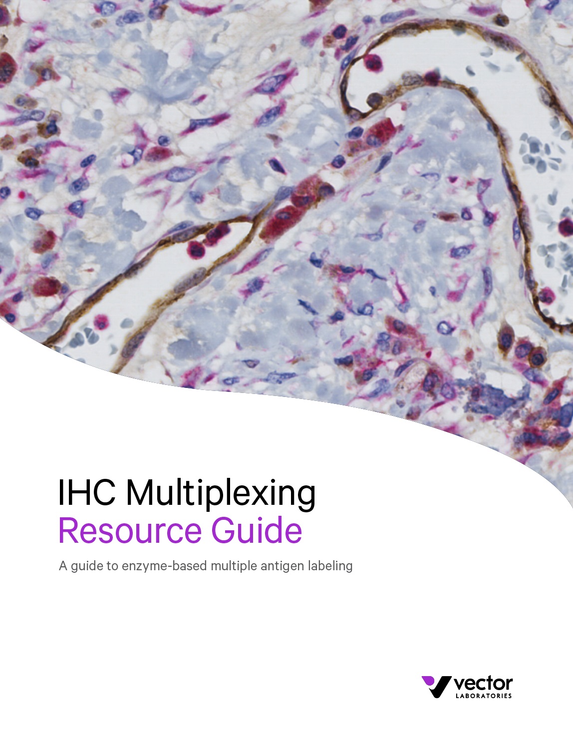 IHC Multiplexing Guide